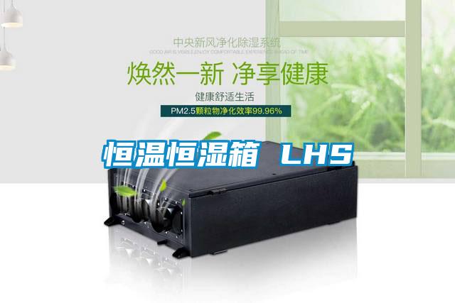 恒温恒湿箱 LHS
