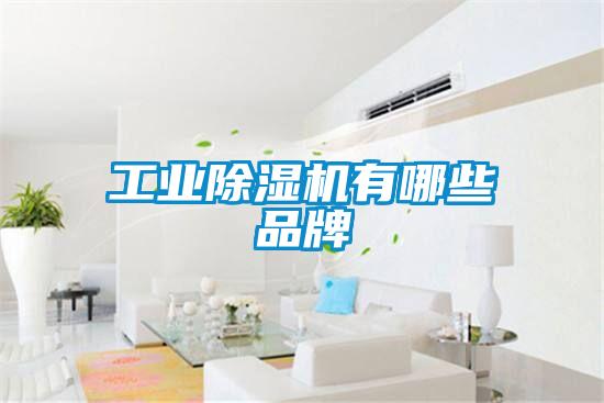 工业除湿机有哪些品牌