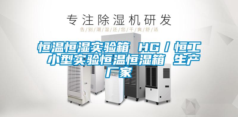恒温恒湿实验箱 HG／恒工 小型实验恒温恒湿箱 生产厂家