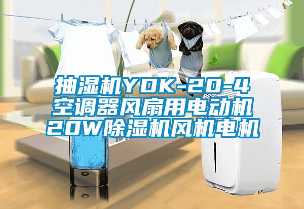 抽湿机YDK-20-4空调器风扇用电动机20W除湿机风机电机