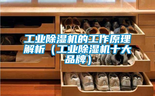工业除湿机的工作原理解析（工业除湿机十大品牌）
