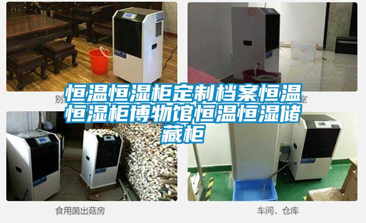 恒温恒湿柜定制档案恒温恒湿柜博物馆恒温恒湿储藏柜