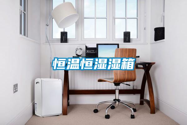 恒温恒湿湿箱