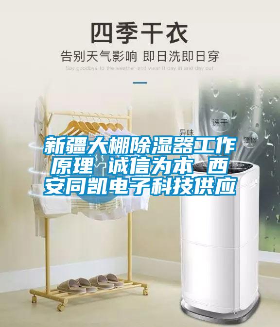 新疆大棚除湿器工作原理 诚信为本 西安同凯电子科技供应