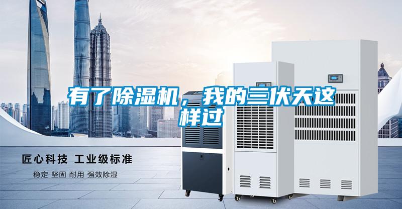 有了除湿机，我的三伏天这样过