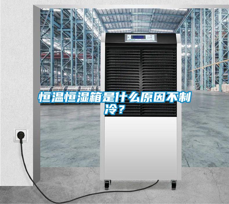恒温恒湿箱是什么原因不制冷？