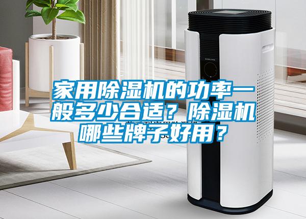 家用除湿机的功率一般多少合适？除湿机哪些牌子好用？