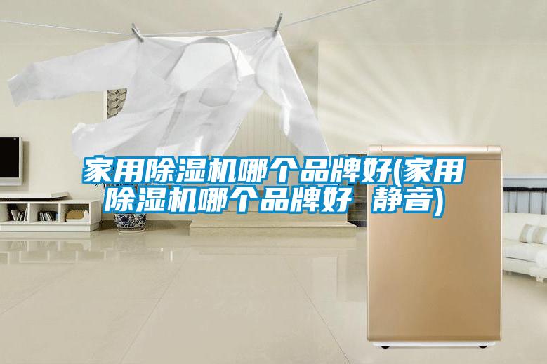家用除湿机哪个品牌好(家用除湿机哪个品牌好 静音)