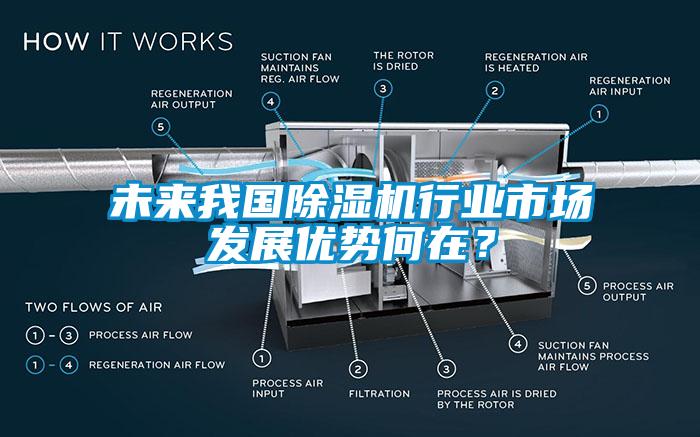 未来我国除湿机行业市场发展优势何在？