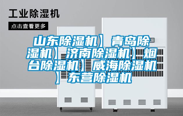山东除湿机】青岛除湿机】济南除湿机】烟台除湿机】威海除湿机】东营除湿机