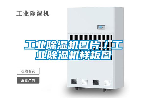 工业除湿机图片／工业除湿机样板图