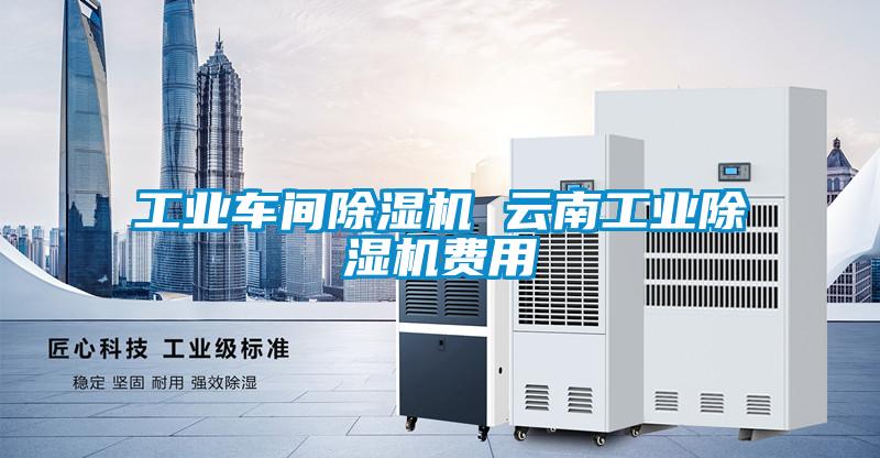 工业车间除湿机 云南工业除湿机费用