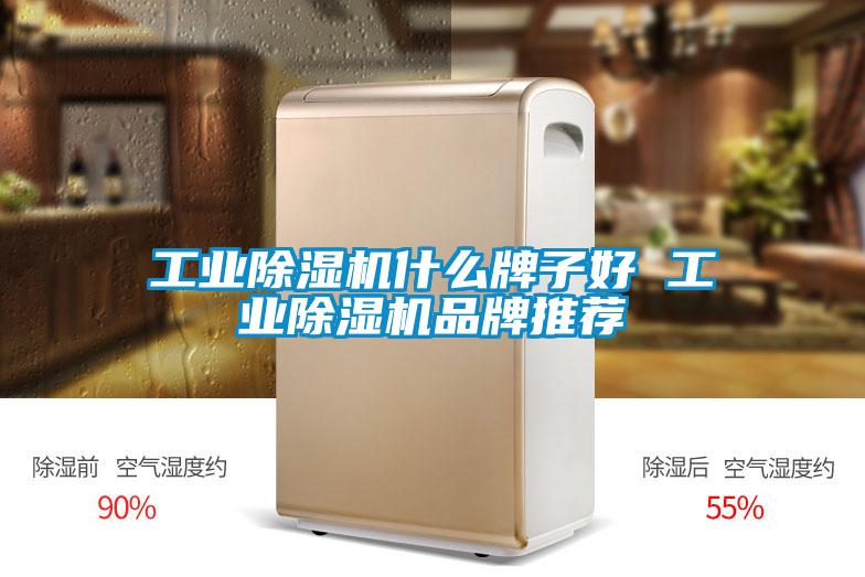工业除湿机什么牌子好 工业除湿机品牌推荐