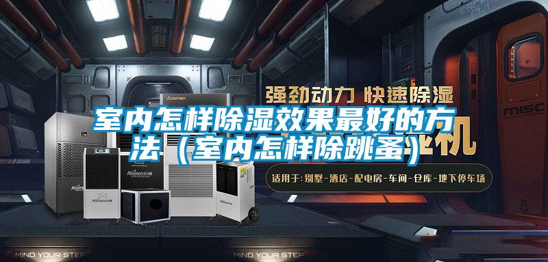 室内怎样除湿效果最好的方法（室内怎样除跳蚤）