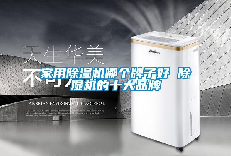 家用除湿机哪个牌子好 除湿机的十大品牌