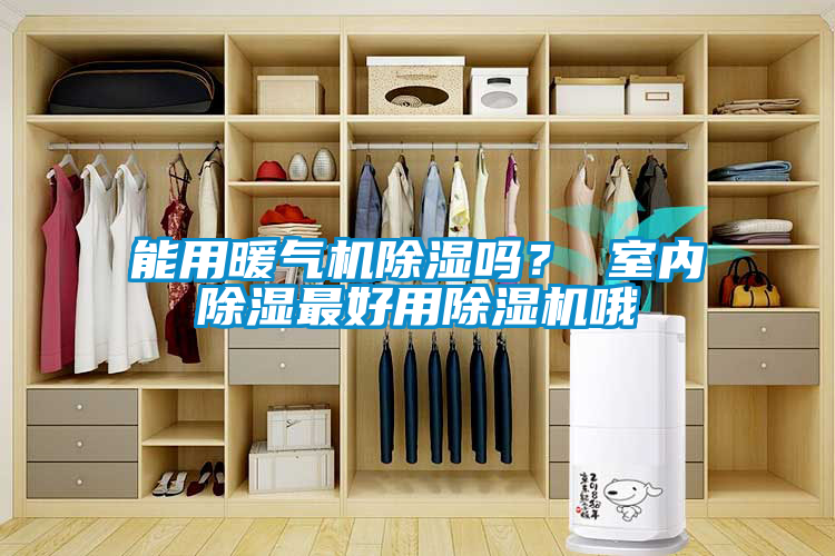 能用暖气机除湿吗？ 室内除湿最好用除湿机哦
