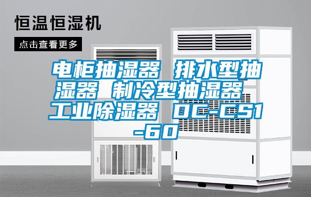 电柜抽湿器 排水型抽湿器 制冷型抽湿器 工业除湿器 DC-CS1-60