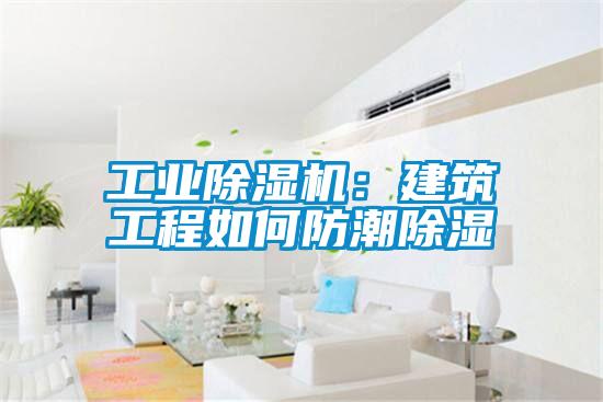 工业除湿机：建筑工程如何防潮除湿