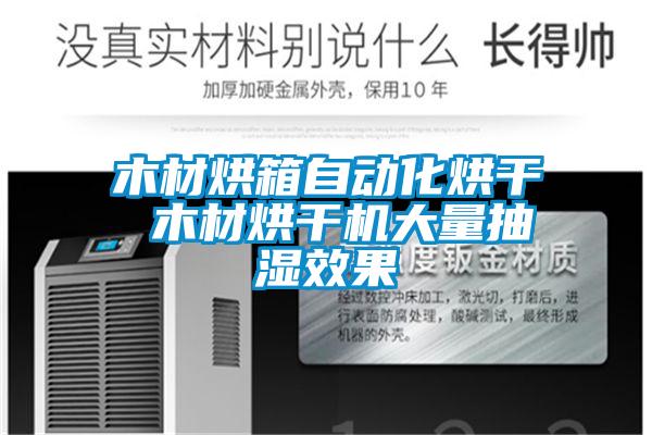 木材烘箱自动化烘干 木材烘干机大量抽湿效果