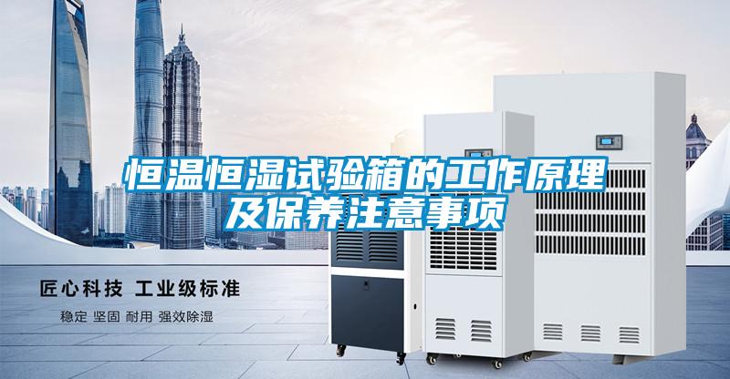 恒温恒湿试验箱的工作原理及保养注意事项