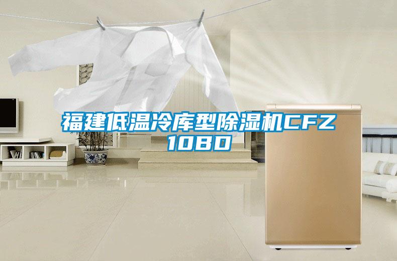 福建低温冷库型除湿机CFZ10BD