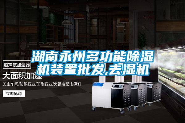 湖南永州多功能除湿机装置批发,去湿机