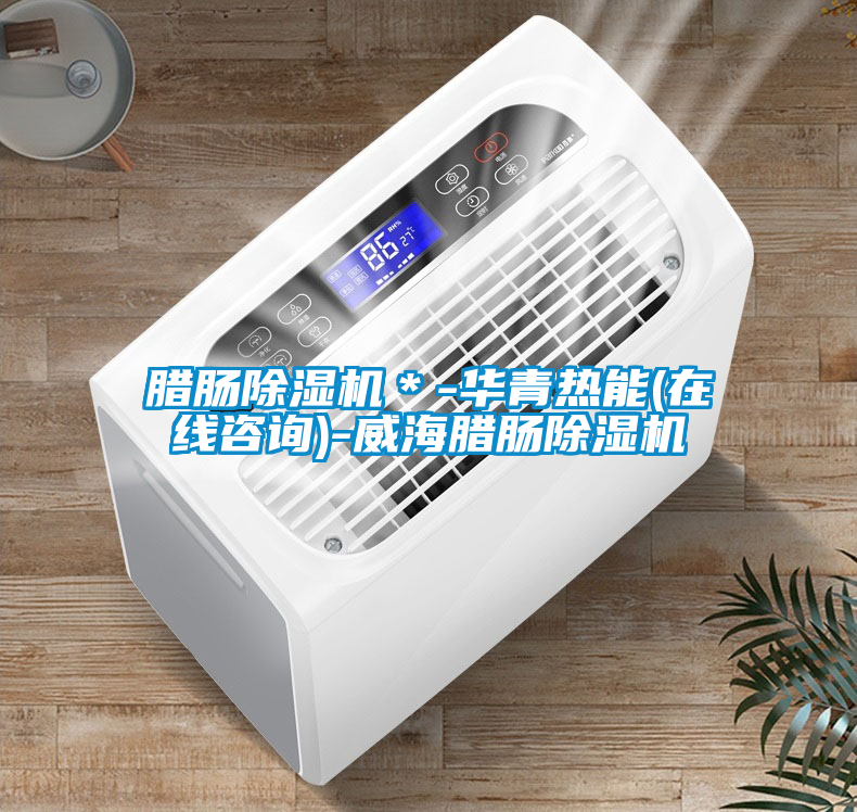 腊肠除湿机＊-华青热能(在线咨询)-威海腊肠除湿机