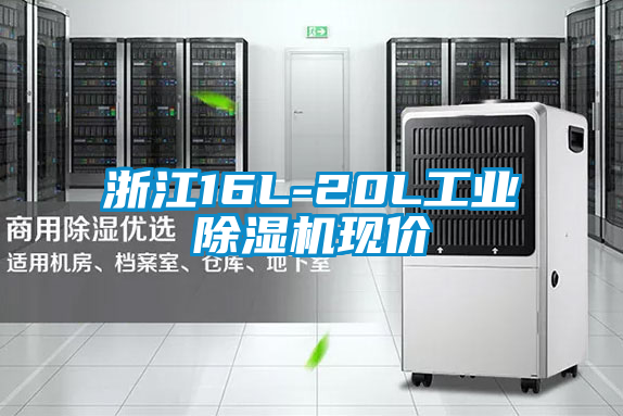 浙江16L-20L工业除湿机现价