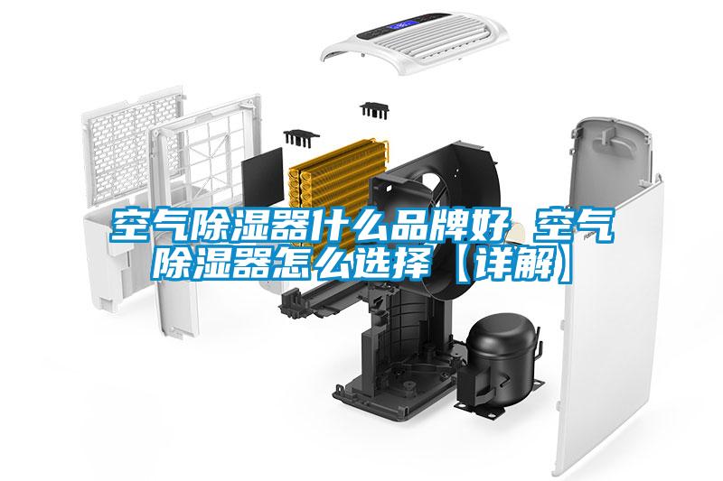 空气除湿器什么品牌好 空气除湿器怎么选择【详解】