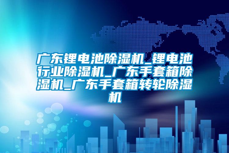 广东锂电池除湿机_锂电池行业除湿机_广东手套箱除湿机_广东手套箱转轮除湿机