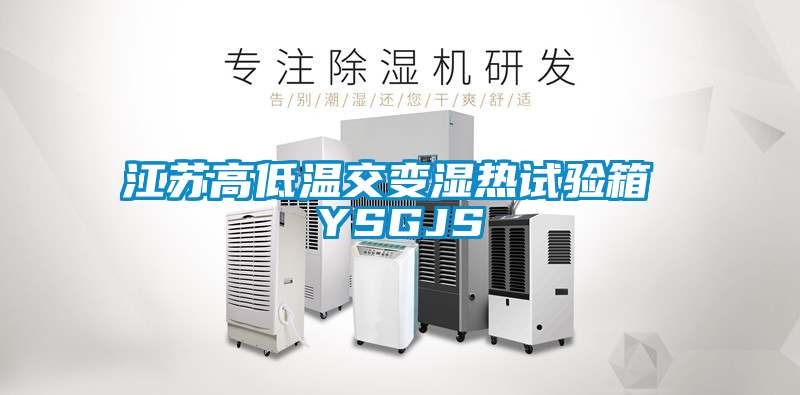 江苏高低温交变湿热试验箱 YSGJS