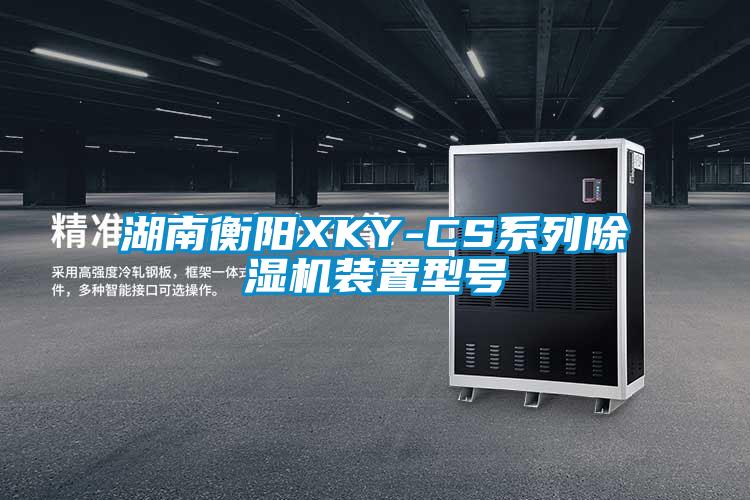 湖南衡阳XKY-CS系列除湿机装置型号