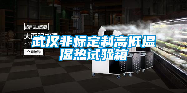 武汉非标定制高低温湿热试验箱