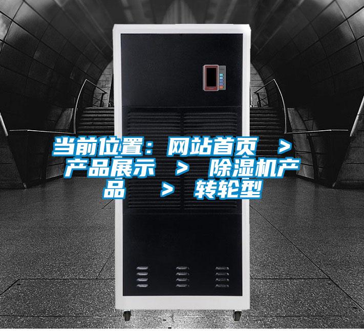 当前位置：网站首页 ＞ 产品展示 ＞ 除湿机产品  ＞ 转轮型