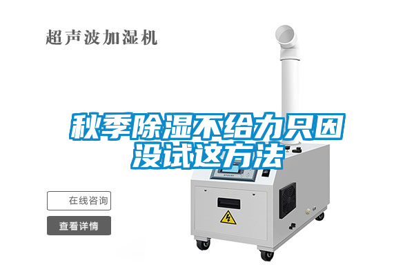 秋季除湿不给力只因没试这方法