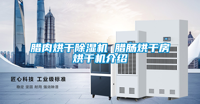 腊肉烘干除湿机 腊肠烘干房烘干机介绍