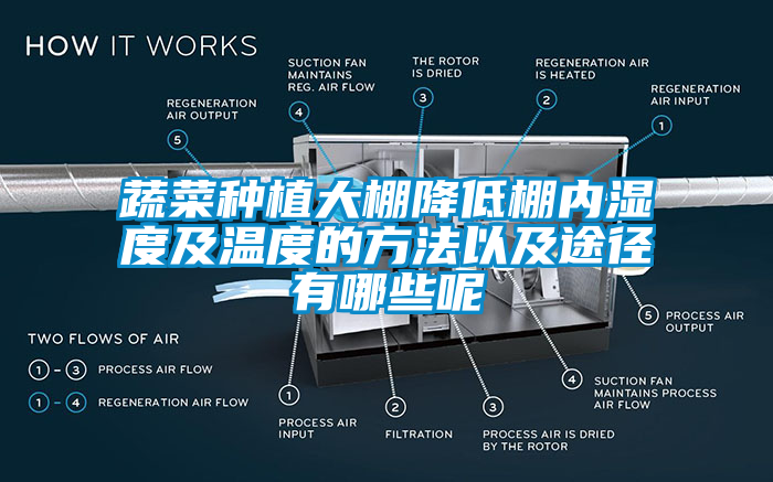 蔬菜种植大棚降低棚内湿度及温度的方法以及途径有哪些呢