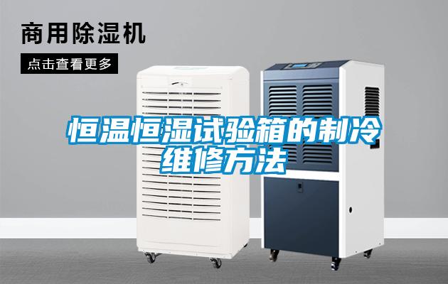 恒温恒湿试验箱的制冷维修方法