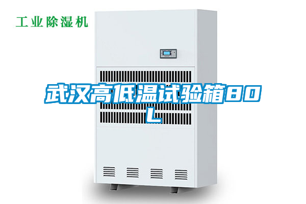 武汉高低温试验箱80L