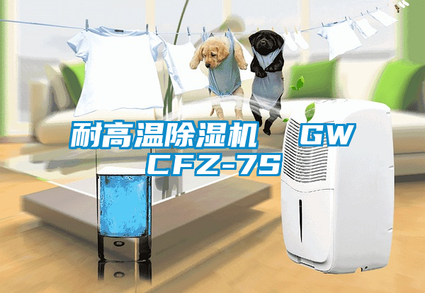 耐高温除湿机  GWCFZ-7S