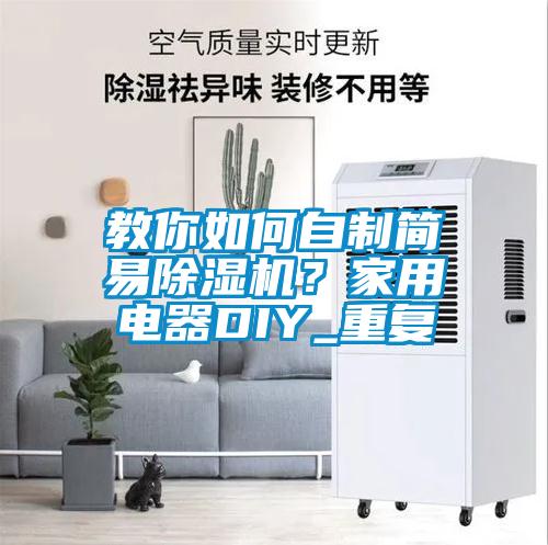 教你如何自制简易除湿机？家用电器DIY_重复