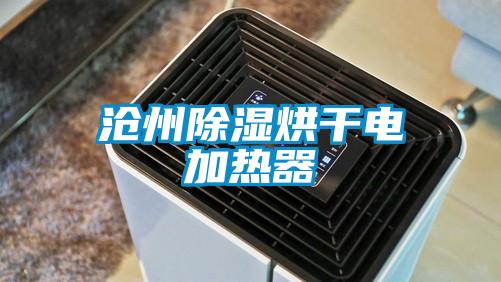 沧州除湿烘干电加热器