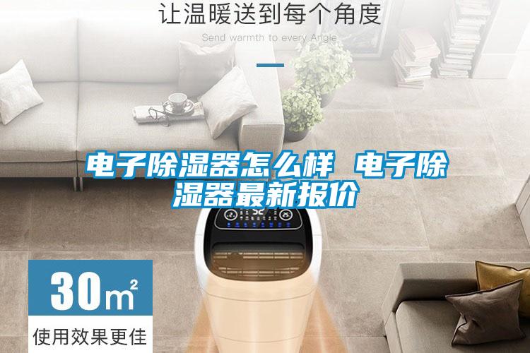 电子除湿器怎么样 电子除湿器最新报价
