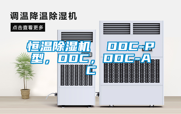 恒温除湿机  DDC-P型，DDC，DDC-AC