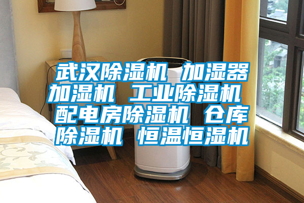 武汉除湿机 加湿器加湿机 工业除湿机 配电房除湿机 仓库除湿机 恒温恒湿机
