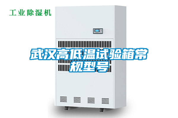 武汉高低温试验箱常规型号