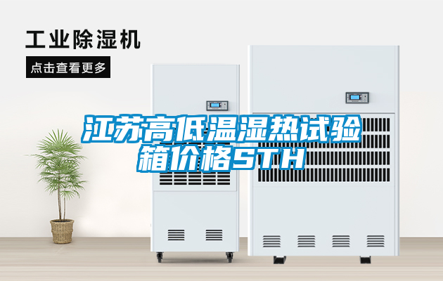 江苏高低温湿热试验箱价格STH
