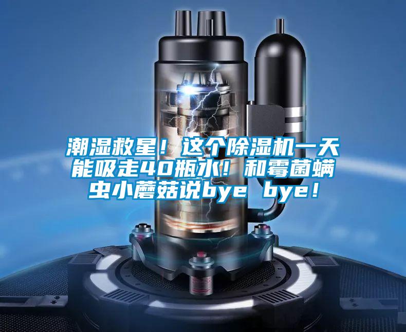 潮湿救星！这个除湿机一天能吸走40瓶水！和霉菌螨虫小蘑菇说bye bye！