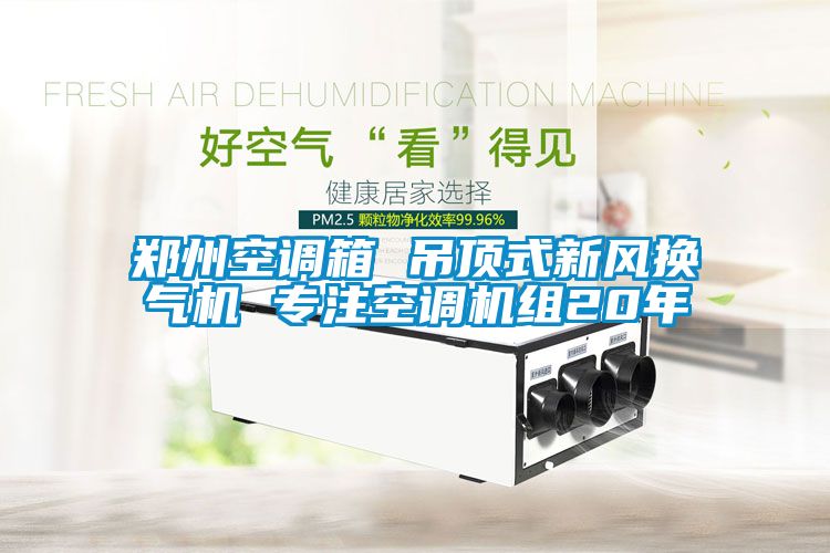 郑州空调箱 吊顶式新风换气机 专注空调机组20年