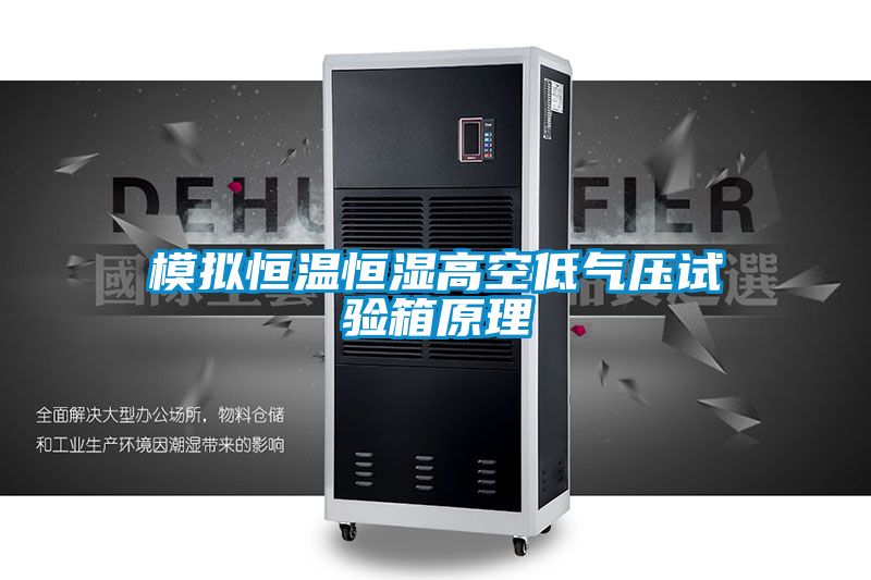模拟恒温恒湿高空低气压试验箱原理
